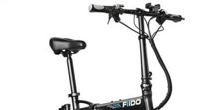 FIIDO D2 Electric Bicycle
