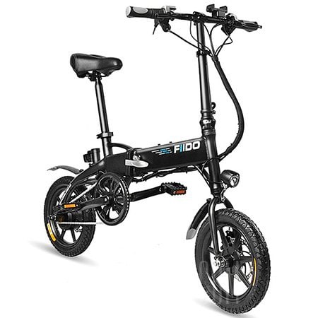 FIIDO D2 Electric Bicycle