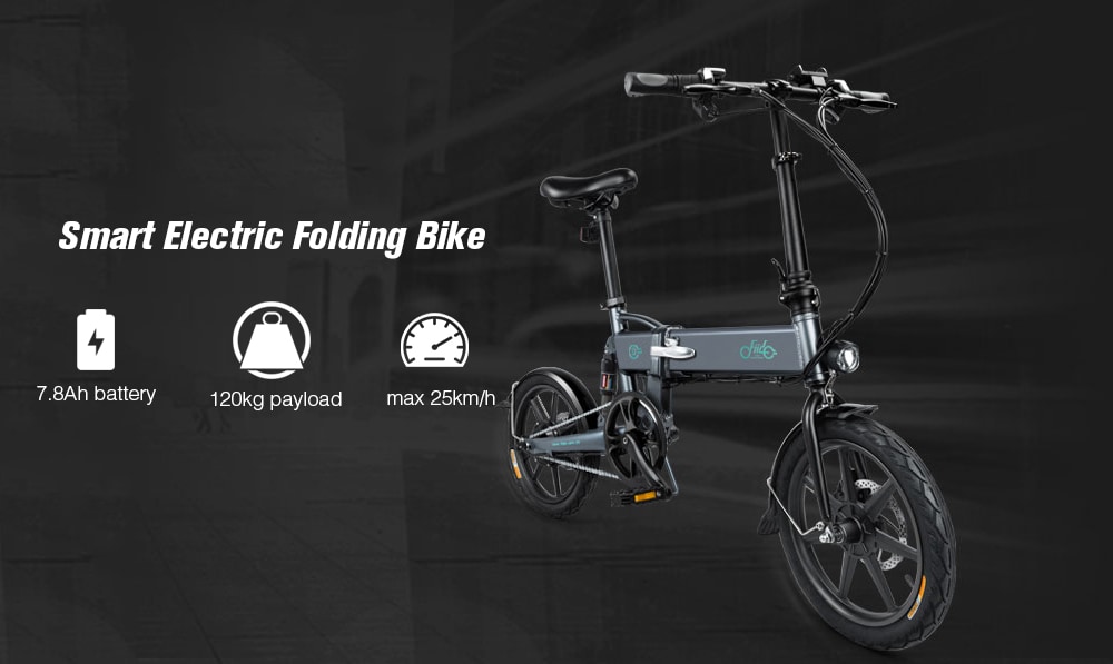 FIIDO D2 Electric Bicycle