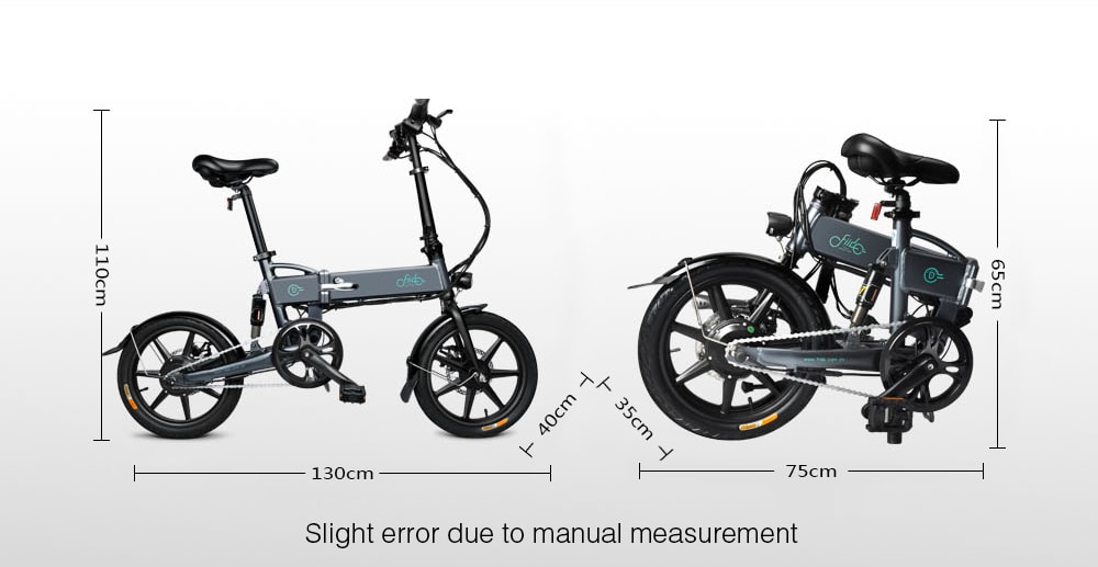 FIIDO D2 Electric Bicycle