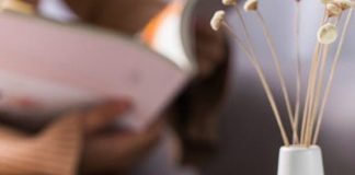 Xiaomi Mija Mosquito Repellent