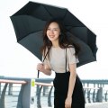 Xiaomi Pinlo Automatic umbrella