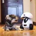 DOGNESS Smart IPet Robot Toy