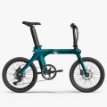 Fiido X Electric Bike